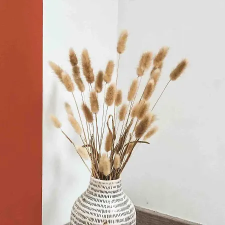 Appartement, Proche Jardin Des Plantes * أنجير