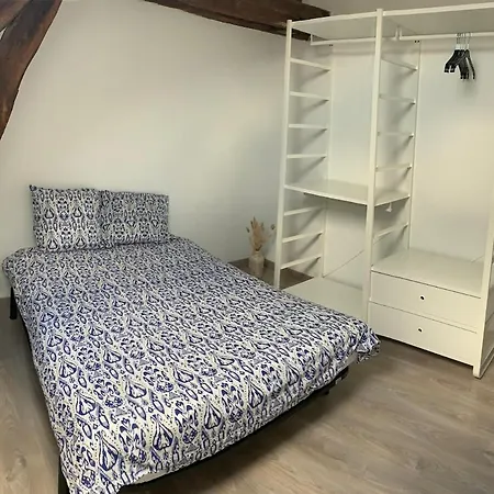 Appartement, Proche Jardin Des Plantes Apartment
